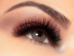 Beauty Changes Lives Org Scholarships Empowering Futures