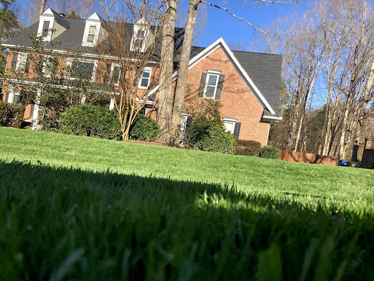 Lawn Care Service near Rush, NY: How Often is Weed Killer Recommended ...