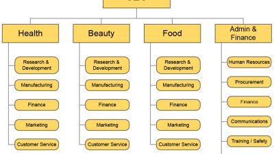 Common Organizational Structures | Principles of Management