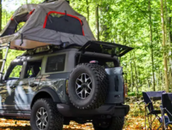 Fird Accessories Your Ultimate Guide