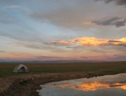 Thermo Fisher Distributors Your Precision Partner