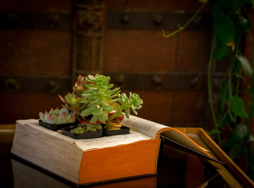 Books by the Foot - The Ultimate Resource for Decorating with Books Books by the Foot - The Ultimate Resource for Decorating with Books