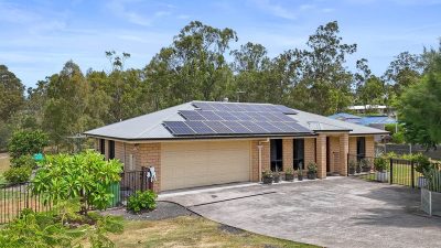 Mosgo Essential Mosquito Racket Peach: Buy box of 1.0 Unit at best ...