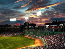 Major Fitness Accessories Elevate Your Workout