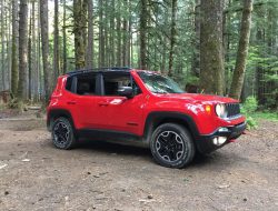 Sign Up for USAA Car Insurance Secure Your Ride