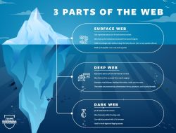 Web App Development Services Near Me That Elevate Your Business