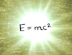 Theory Clothing Mens Stylish Essentials For Every Man