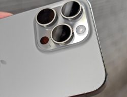 Pro Elite Air Fryer Revolutionizes Healthy Cooking