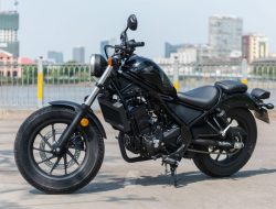 rebel beverage Explore the Bold New Taste Experience