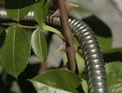 360 Gadget Metal Garden Hose Revolutionizing Watering