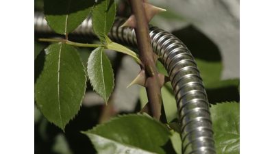 360 Gadget Metal Garden Hose Revolutionizing Watering