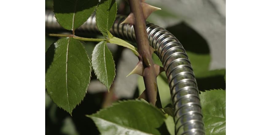 Buy Durable and Affordable 360 Gadget Garden Hoses Online