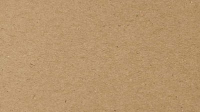 Kraft paper shopping bags