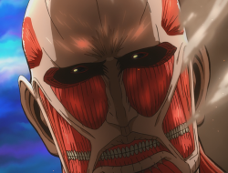 Titan Fitness Coupon For Unbeatable Savings On Fitness