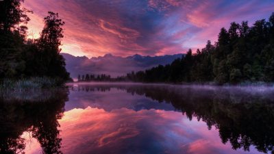 Beautiful Nature Mountain Scenery with Flowers Free Stock Photo | picjumbo