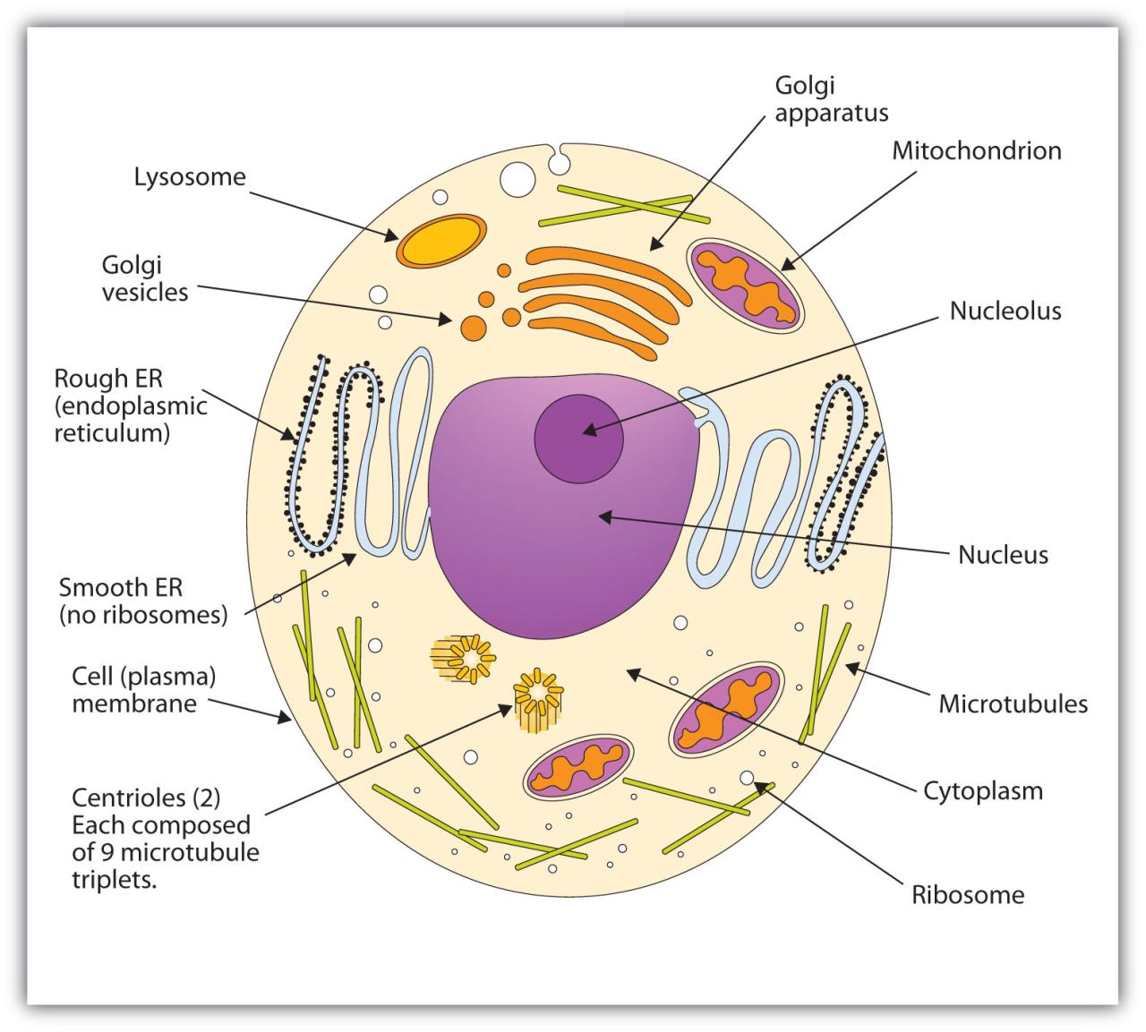 Chapter 7 - Lipids - CHE 120 - Introduction to Organic Chemistry ... Chapter 7 - Lipids - CHE 120 - Introduction to Organic Chemistry ...