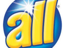 All In One Air Fryer The Ultimate Kitchen Revolution