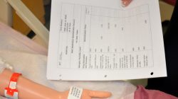 SDP solution for allee model