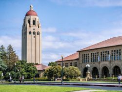 University Of North Texas Fashion Merchandising