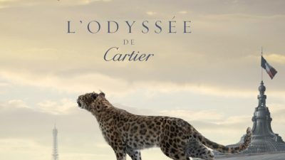 White Gold Cartier Love Ring A Timeless Luxury Piece