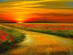 Beauty Salon Hiring Near Me Discover Your Ideal Job