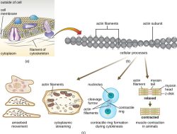 Cell Phone Gadgets Power Up Your Life