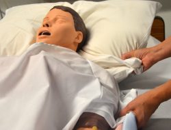 KitchenAid Gadgets Elevate Your Kitchen