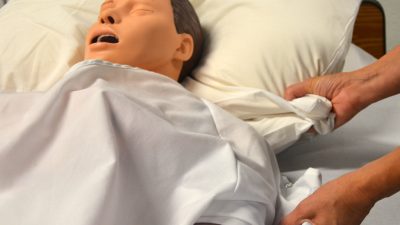 KitchenAid Gadgets Elevate Your Kitchen