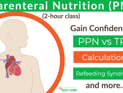 TPN Price Per Bag A Comprehensive Guide