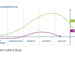 Sales Development Consultant Unlocking Business Potential