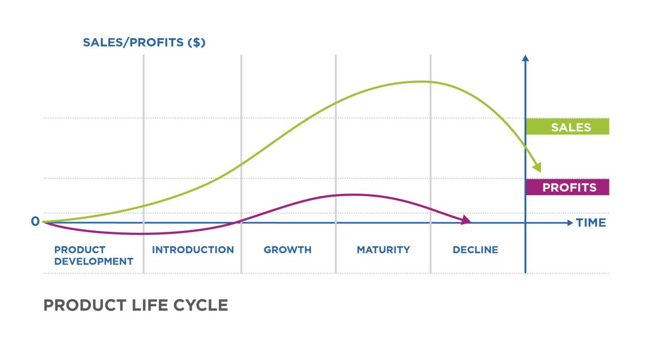 Reading: Stages of the Product Life Cycle | Introduction to Business