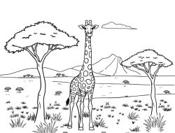 Free Clothing Drop Boxes Near Me For Easy Donations