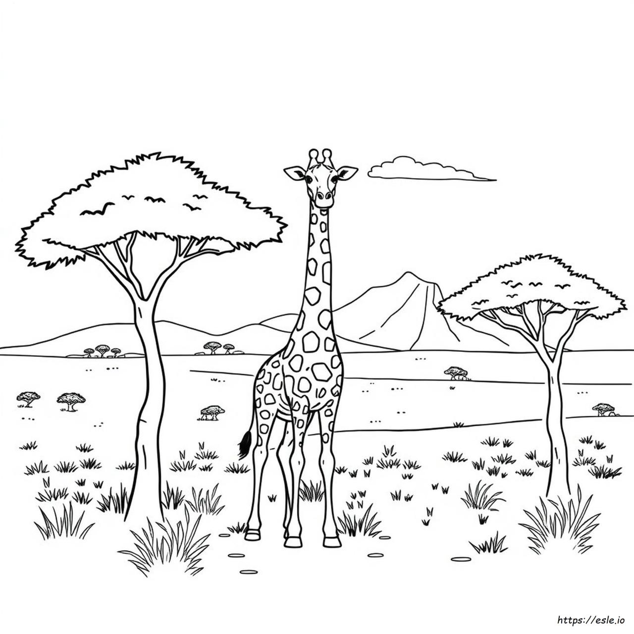 African Coloring Pages Free African Coloring Pages Free