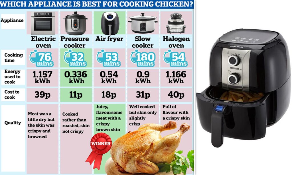 Air Fryer Vs. Conventional Oven: Which Is Better? - Unleash Your Inner ...