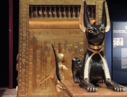 Get Car Insurance Online Now And Save Big Today