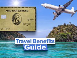 American Express Gold Card Apply Elevate Your Spending