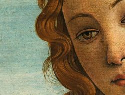 Venus Fashion Promo Code For Exclusive Savings