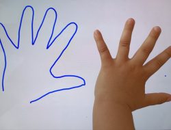 Interactive touch table education revolutionizes learning