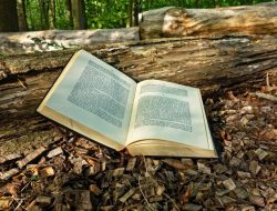 Book 4 Mastering Reinforcement Learning