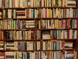 Book Lee Unveiling Machine Translation