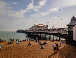 Brighton Beauty Supply Coupon Exclusive Savings