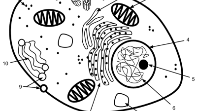 Unique Characteristics of Eukaryotic Cells | Microbiology