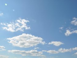 Gusseted Polypropylene Bags Superior Packaging Solutions