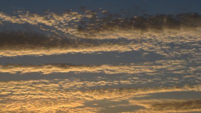 Free Images : beach, horizon, sun, sunrise, sunset, sunlight, desert ...