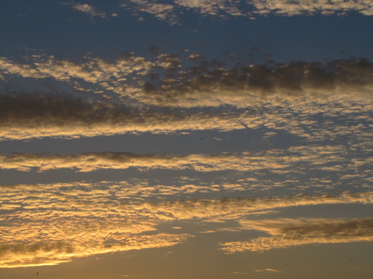 Free Images : beach, horizon, sun, sunrise, sunset, sunlight, desert ... Free Images : beach, horizon, sun, sunrise, sunset, sunlight, desert ...