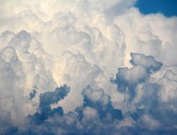 Mini Oven Air Fryer The Ultimate Kitchen Companion