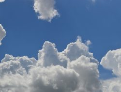 Air fryer toaster oven kohls for delicious meals