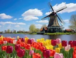 holland and cooper clothing Elegance Redefined