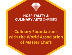 Culinary Arts Degree Near Me Find Your Passion Today