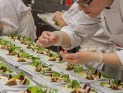 Culinary Arts Colleges Near Me Find Your Perfect Match